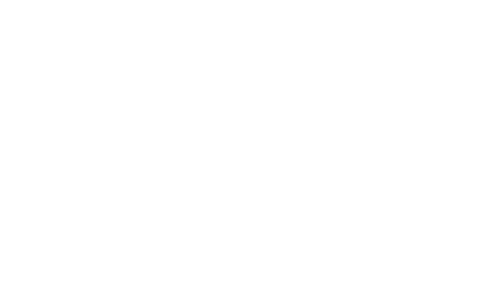 lalan leisure logo